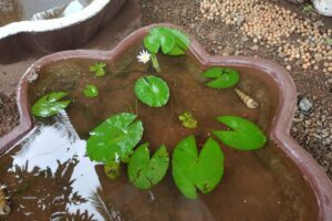 2099510a-eca2-4d81-b800-4d6ca481ae30 2099510a-eca2-4d81-b800-4d6ca481ae30