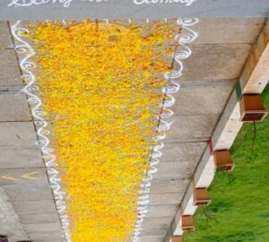 52d63524-38bf-4193-98e4-dc20c583323e 52d63524-38bf-4193-98e4-dc20c583323e